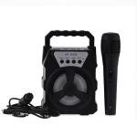 مكبر صوت محمول مع ميكروفون