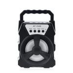 مكبر صوت محمول مع ميكروفون