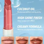 Sheglam Potperfect Shine Lip Plumber