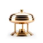 سخان طعام مميز سعة 4 لتر - ذهبي