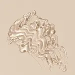 شيجلام جيلي واو زيت ترطيب الشفاه