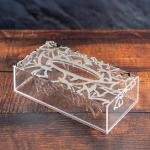 صندوق مناديل أكريليك أنيق بتصميم الفراشة 