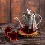 إبريق شاي زجاجي مع مصفاة من الستانلس ستيل - 800 مل