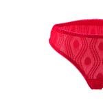 مجموعة لينجري دانتيل أنيقة شبكة مزخرفة حمالة صدر مسنودة وبتفاصيل ساتان