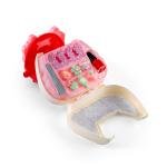 مجموعة حقيبة الأطفال لصنع الحلي والخرز