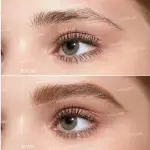 شيجلام باليت حواجب فول فيلد – 101 بني غامق