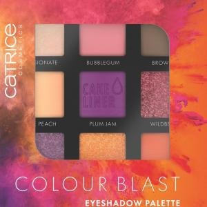 كاتريس كولور بلاست آيشادو باليت