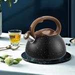 غلاية صفارة من الفولاذ المقاوم للصدأ