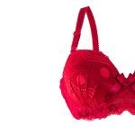 مجموعة لينجري دانتيل أنيقة شبكة مزخرفة حمالة صدر مسنودة وبتفاصيل ساتان